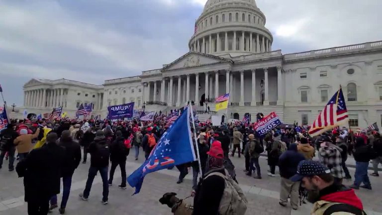 До Вашингтон и назад: Българи на протестите в Капитолия, разделение и между тях