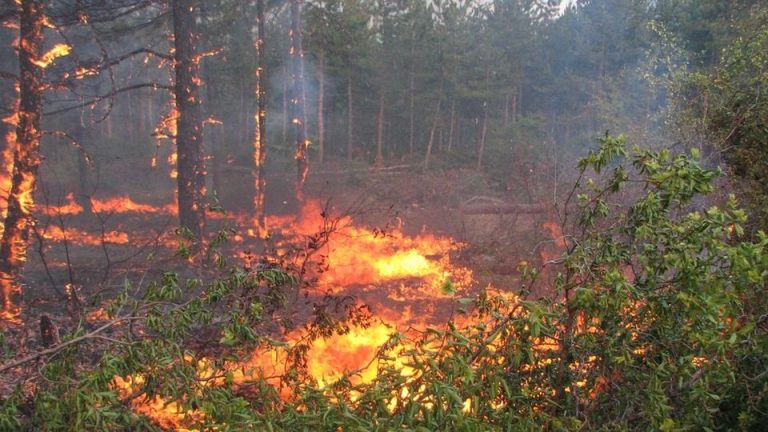 Обявиха пожароопасен сезон за цялата страна