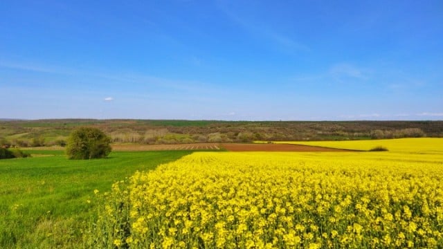 Предимно слънчево ще е в неделя