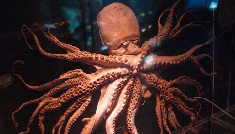 Смърт, опити за убийство, уволнения! Черна прокоба тегне над хората, докоснали се до делото „Октопод“