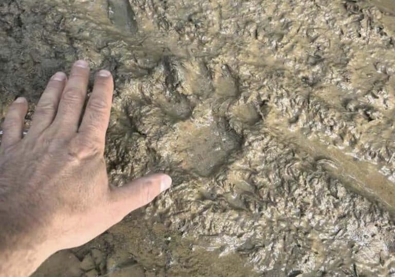 Ограничителните мерки в парка „Шуменското плато“ остават в сила