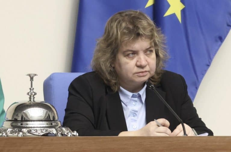 Доц. Киселова: Въпроси извън компетентността на НС не могат да се подлагат на референдум